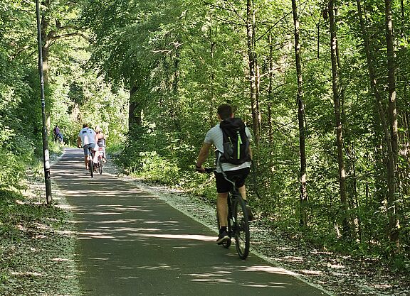 Radfahrende auf dem Regnitztal Radweg